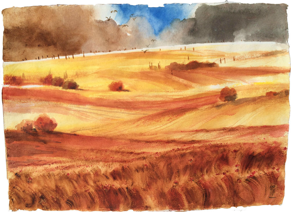 Colline di grano e papaveri
