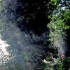 Burning Leaves II