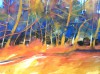 La pineta dai cento colori