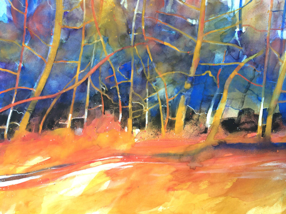 La pineta dai cento colori