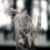 verge I