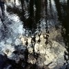 Stille VII