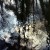 Stille VII