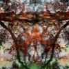 untitled III