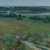 Kolomenskoe-summer-oil-landscape-picture-artist-Daniil-Belov