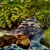 nature3