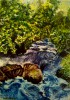 nature3