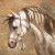 -horse