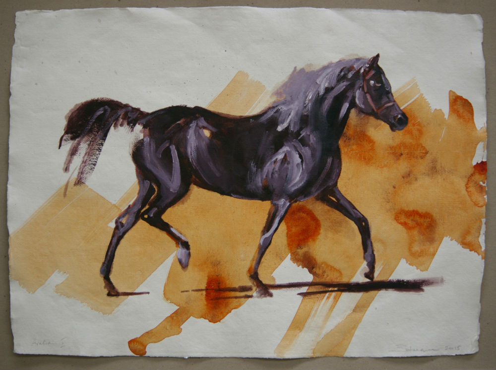 Arabian I (study) 2015 oil on paper 56 x 76cm