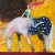 Appaloosa blues