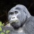 Bwindi breakfast Ivan Jones