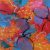 Nature 3729