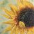 Smaller Sunflower I