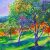 Old olive orchard X