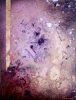 1-IMG_9503