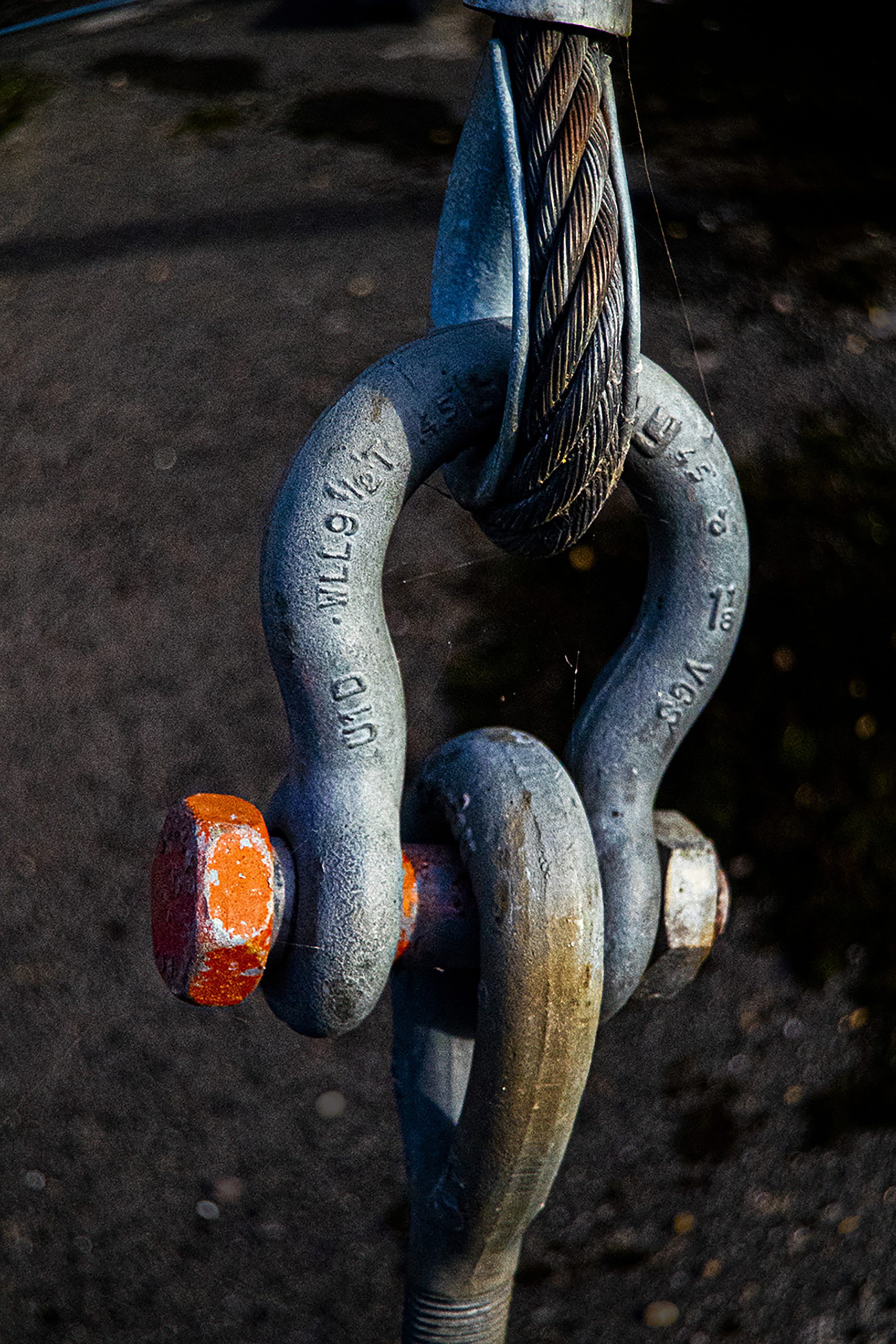 _DSC2853